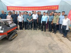淮南市：蔬菜智能移栽机演示 加快产学研